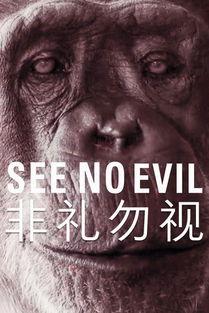 非礼勿视2,揭秘人性暗面，探寻道德边界